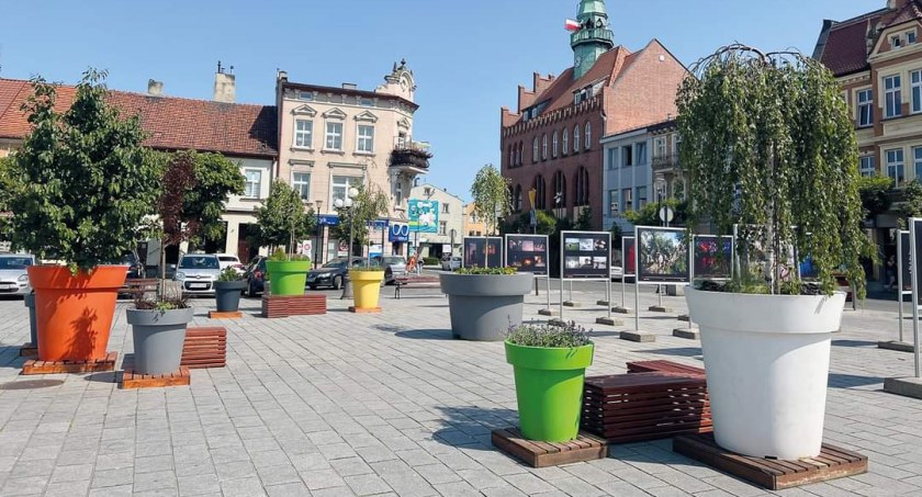 Fot. UMiG we Wrześni 