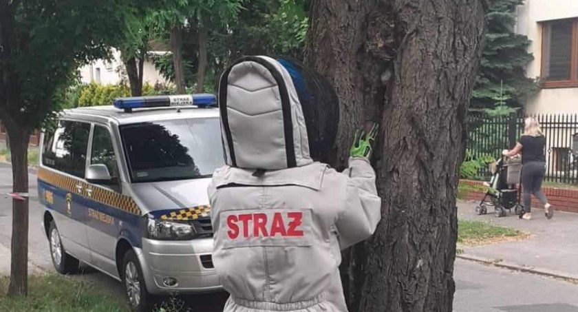 Fot. Straż Miejska we Wrześni 