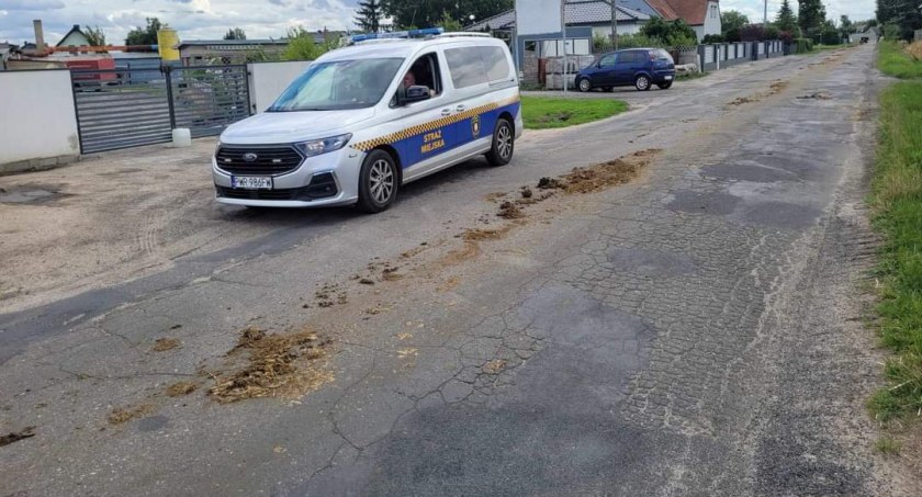 Fot. Straż Miejska we Wrześni 