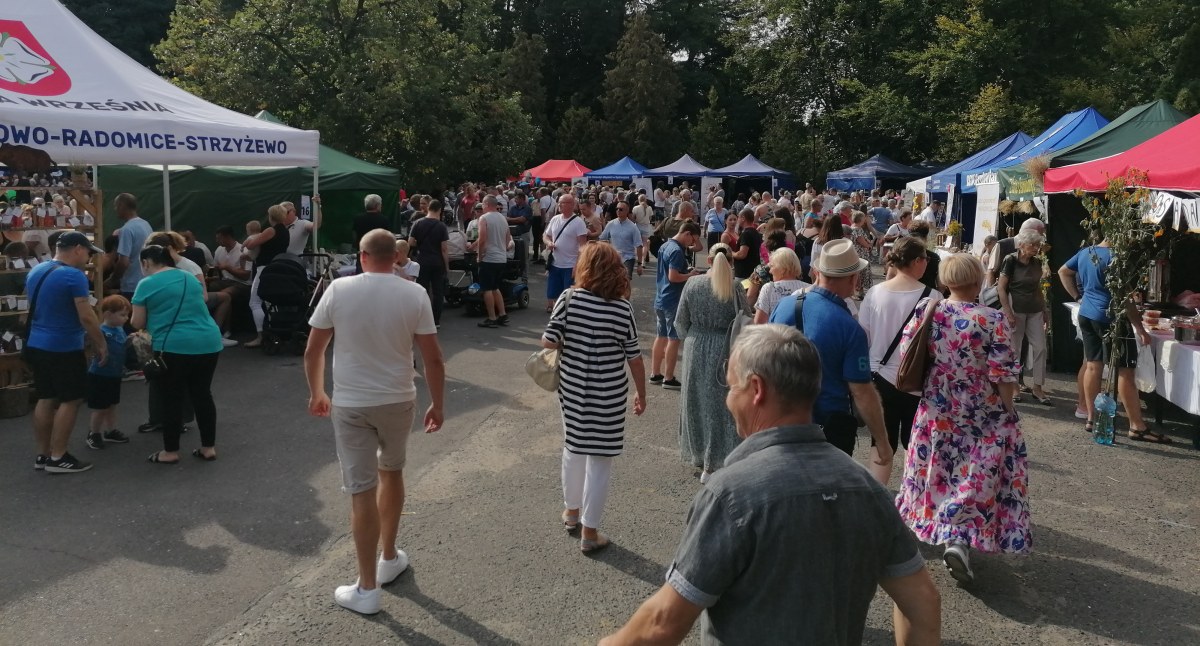 Dziś Park im. Dzieci Wrzesińskich pękał w szwach 