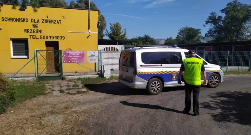 Fot. Straż Miejska we Wrześni 