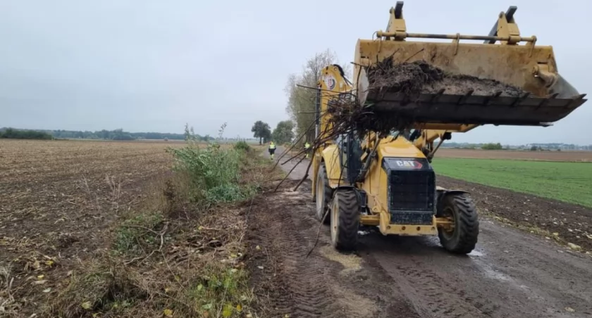 Fot. UMiG we Wrześni 
