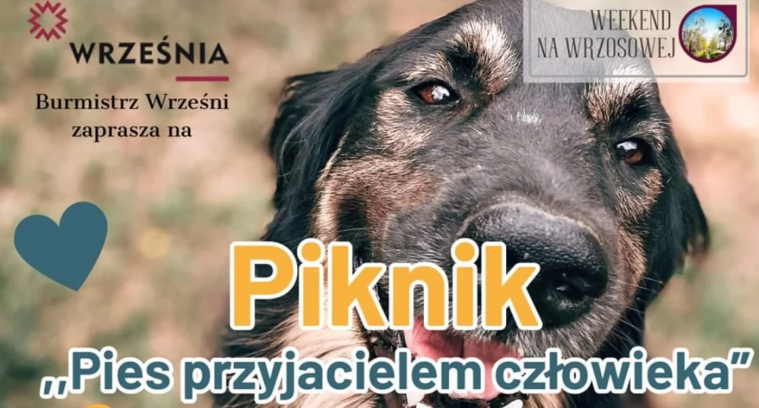 Fot. NowaWrzesnia.pl 