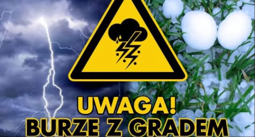 Fot. UMiG we Wrześni 
