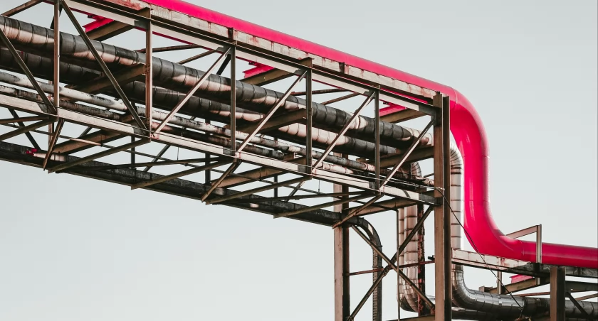 fot. unsplash