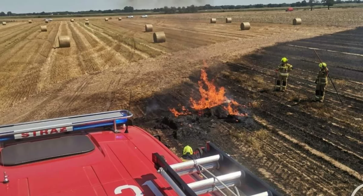 Fot. OSP Miłosław / OSP Kaczanowo 