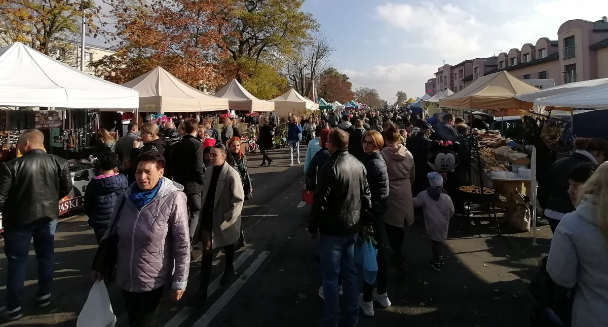 Fot. NowaWrzesnia.pl 