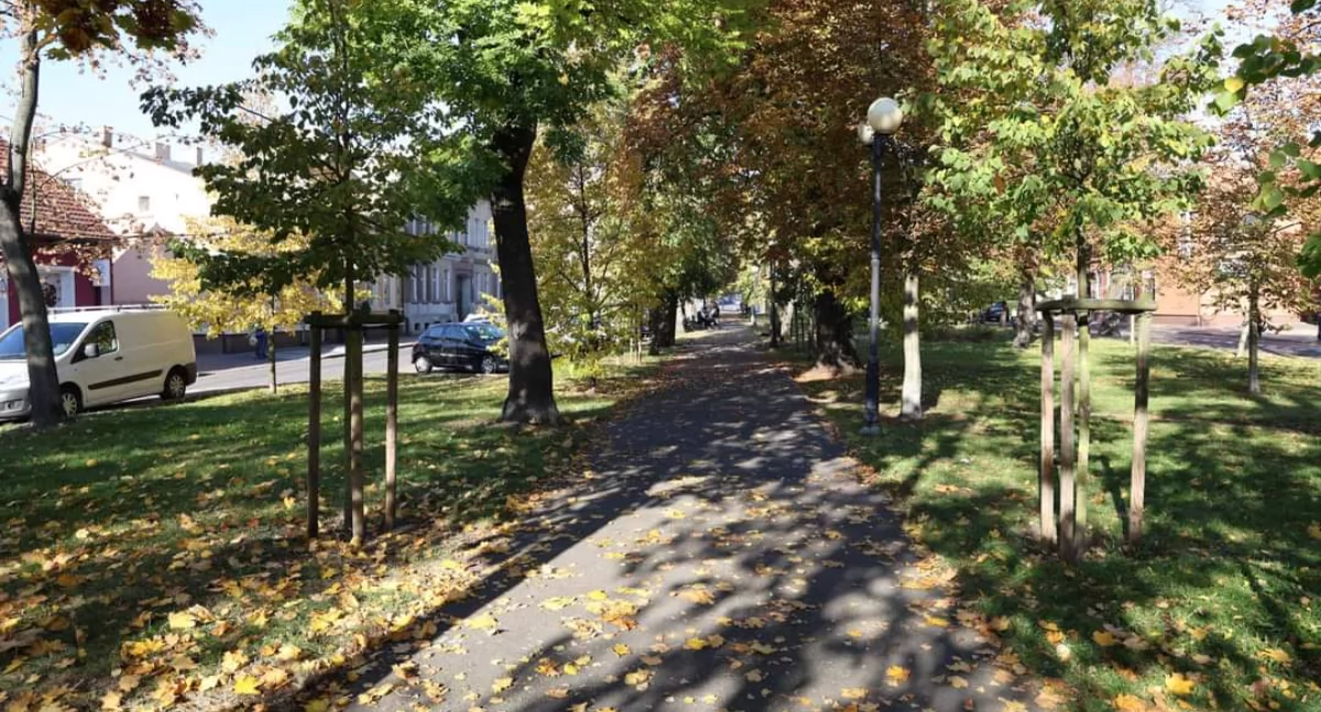 Fot. UMiG we Wrześni 