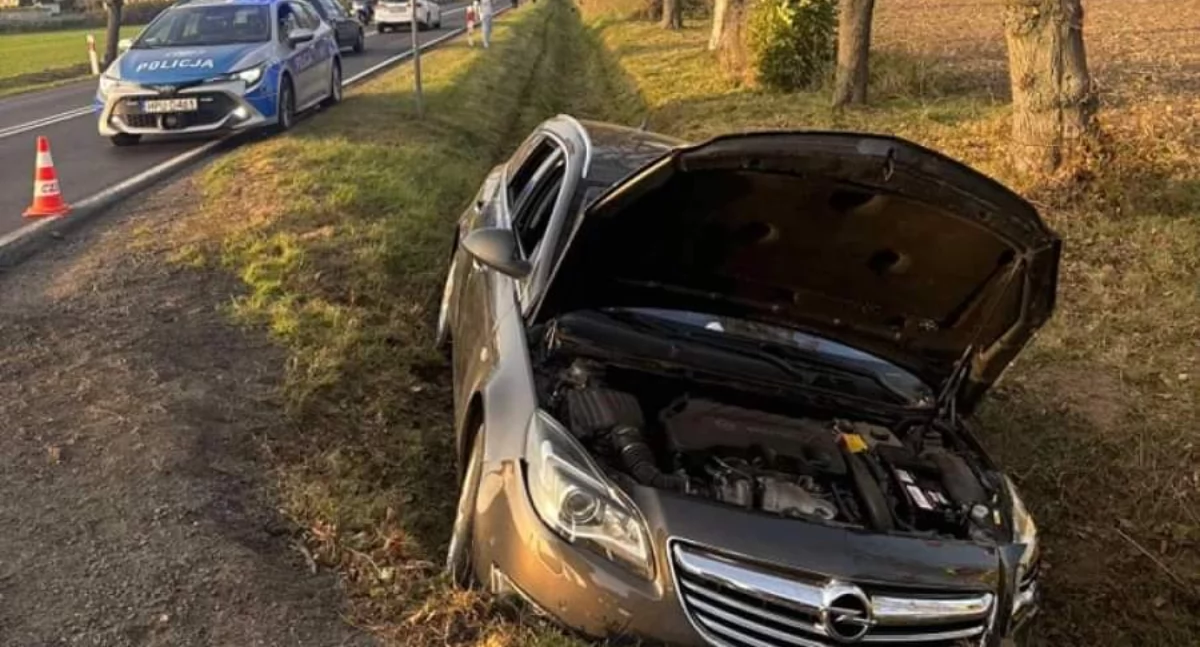 Fot. KP Policji w Gnieźnie 