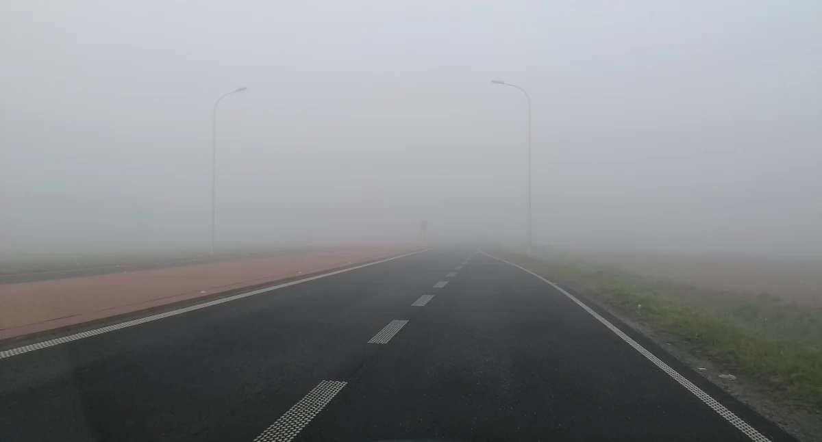 Fot. NowaWrzesnia.pl 