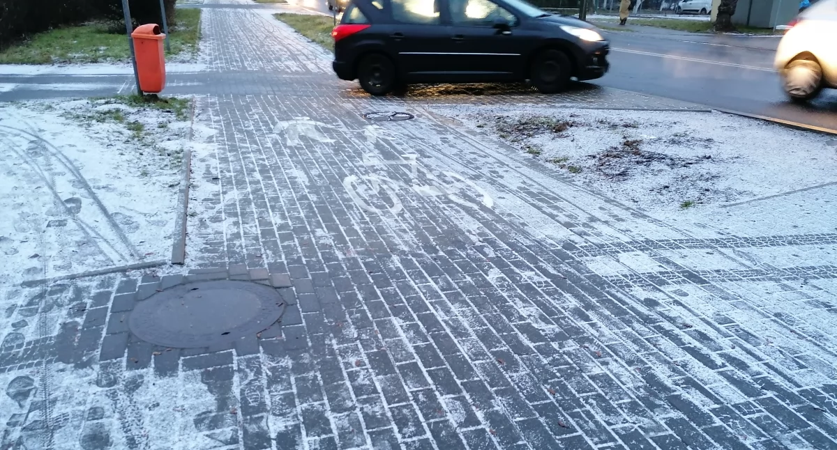 Fot. Dawid Spychalski/NowaWrzesnia.pl 