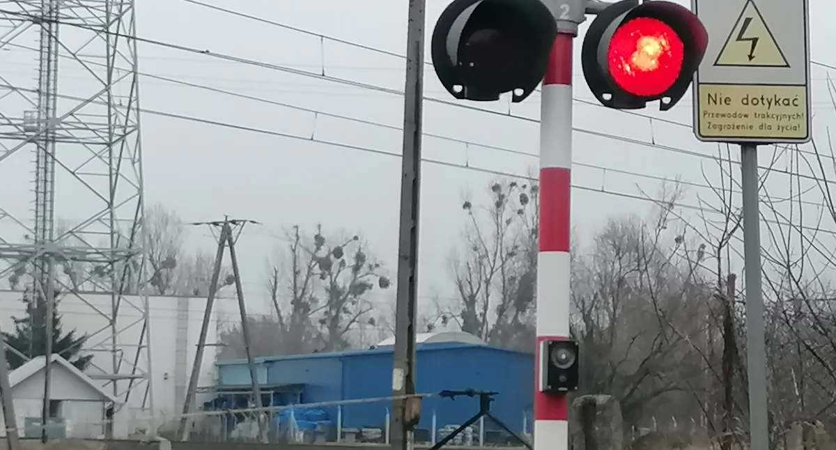 Fot. NowaWrzesnia.pl 