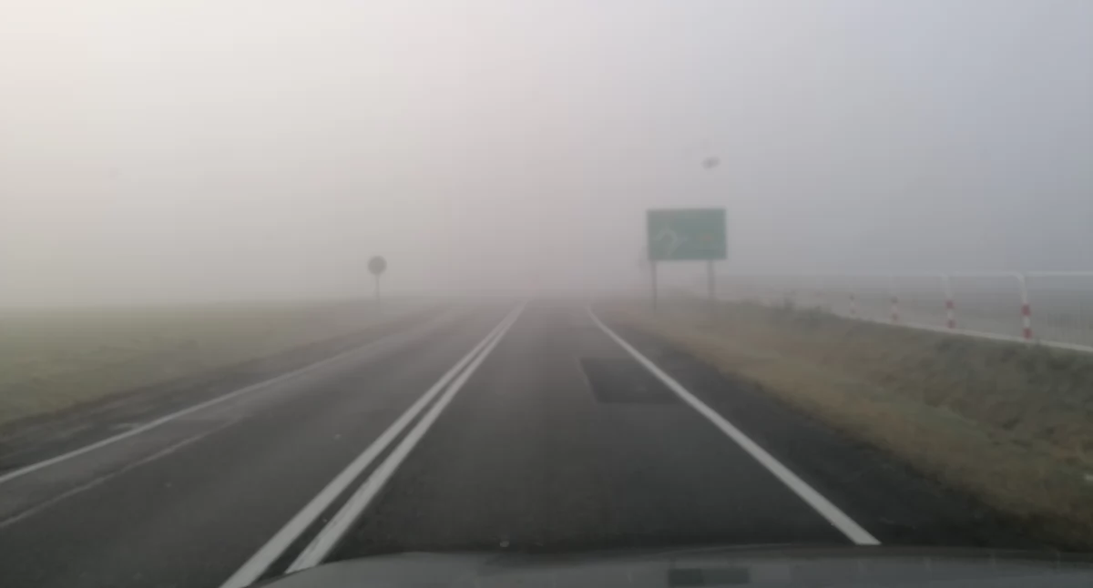 Fot. NowaWrzesnia.pl 
