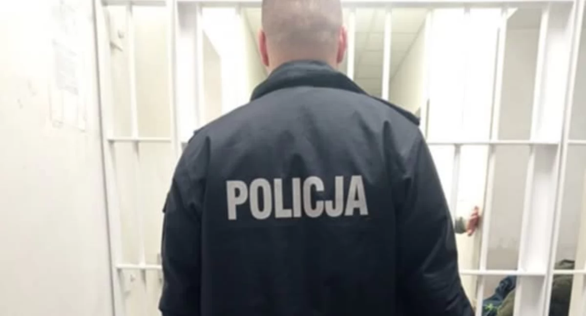 Kronika policyjna, Agresywny latek aresztowany! Pobił byłą partnerkę - zdjęcie, fotografia