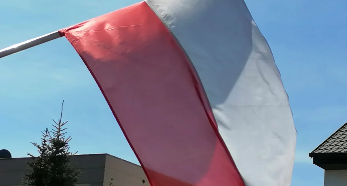 Nowawrzesnia.pl 
