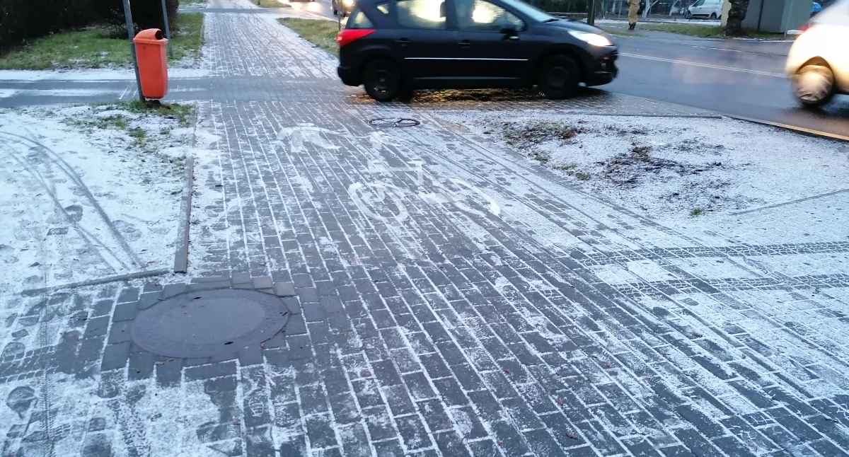 Fot. NowaWrzesnia.pl 
