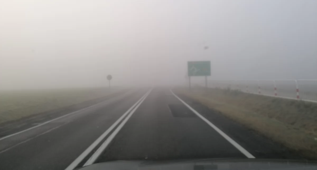 Fot. NowaWrzesnia.pl 