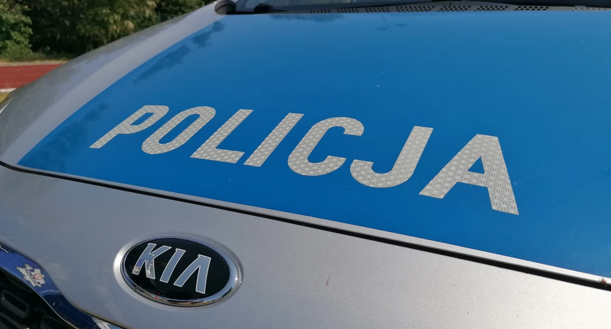 Fot. NowaWrzesnia.pl 