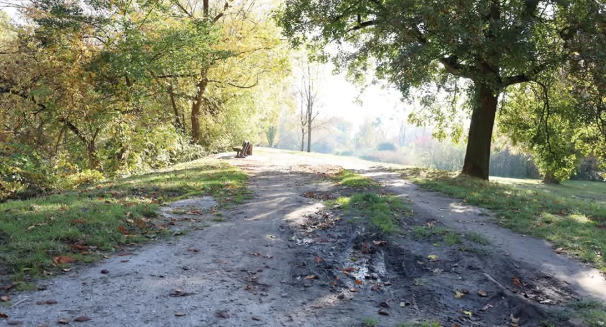 Inwestycje, Rewitalizacja wrzesińskiego parku skweru - zdjęcie, fotografia
