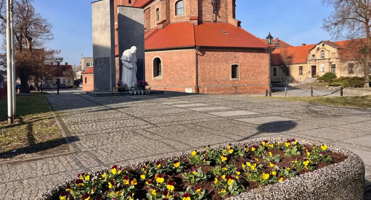 Ekologia i przyroda , Pierwsze wiosenne kwiaty ozdobiły miasto - zdjęcie, fotografia