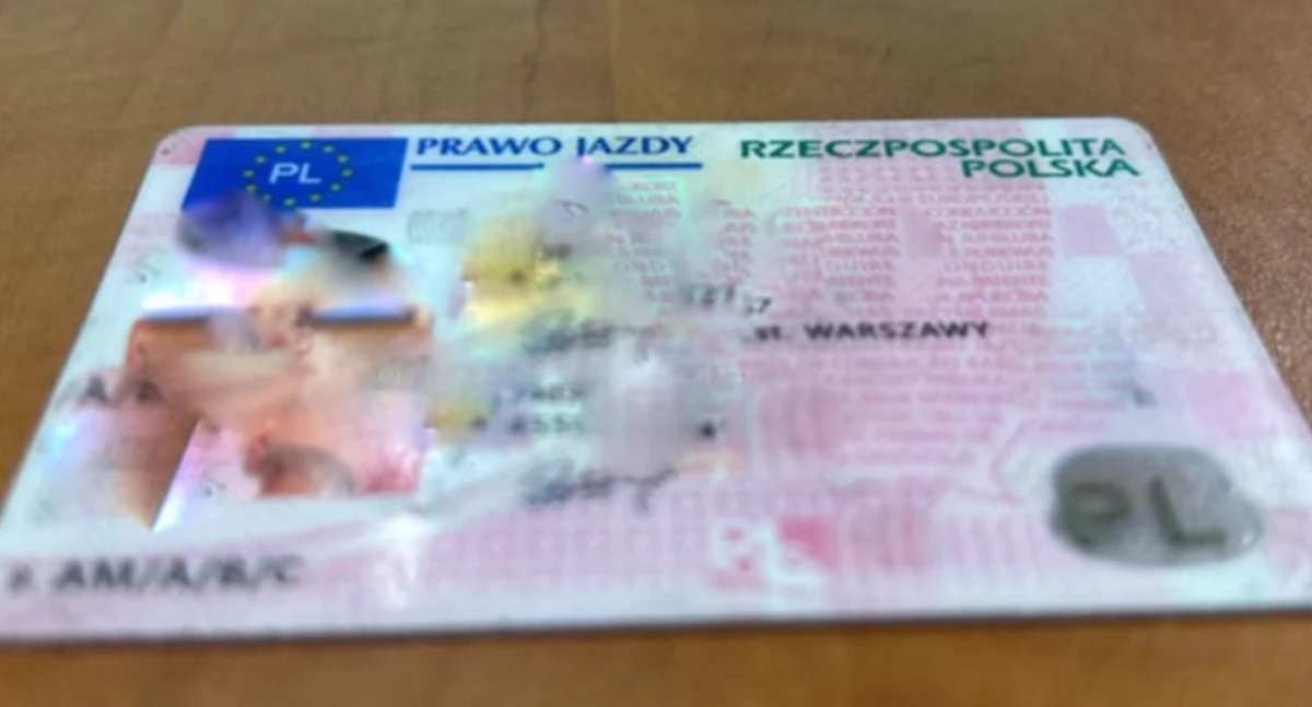 Kronika policyjna, latek zatrzymany Wrześni Miał fałszywe prawko tysięcy - zdjęcie, fotografia
