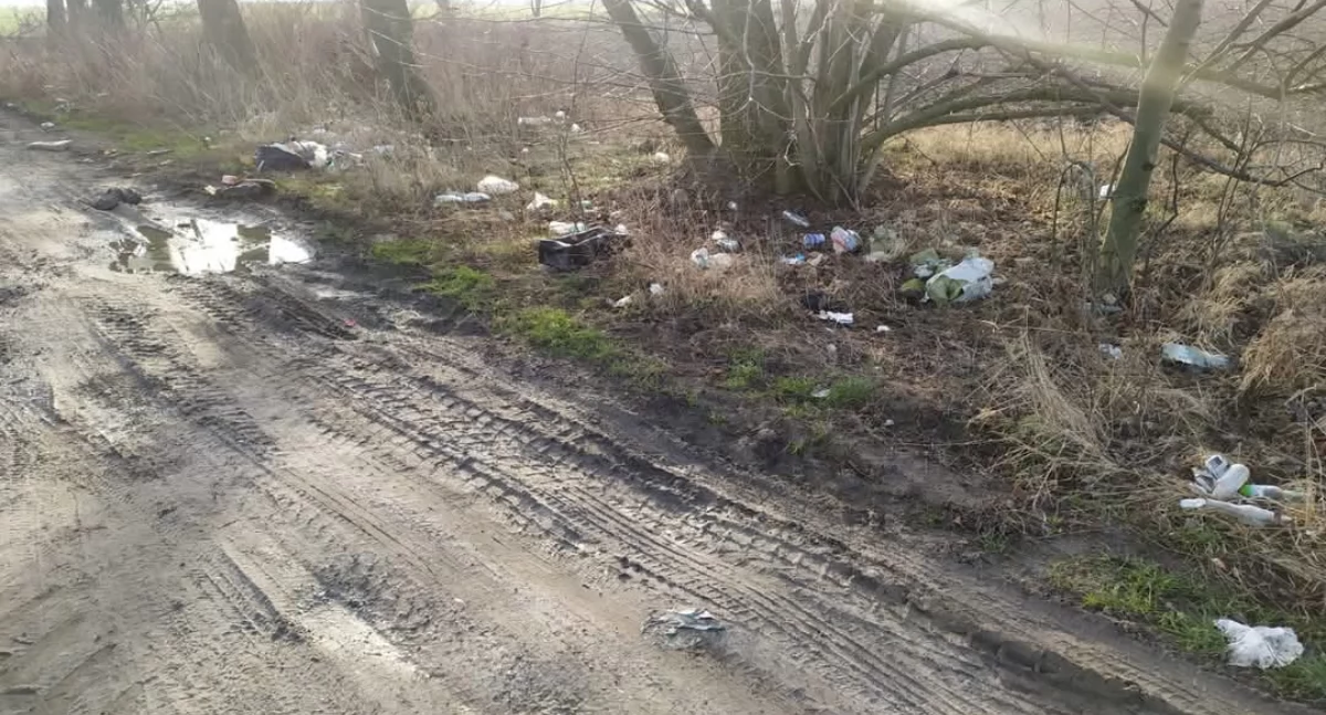 Fot. Straż Miejska we Wrześni 
