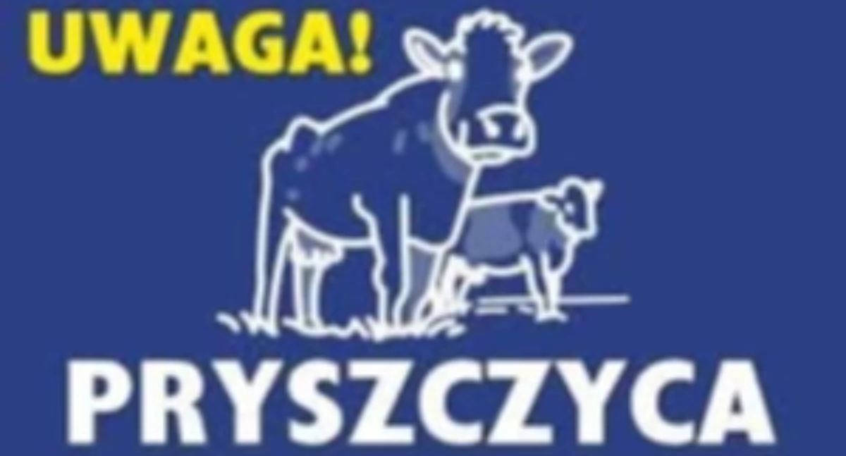 Ekologia i przyroda , apeluje! Pryszczyca rozpędza - zdjęcie, fotografia