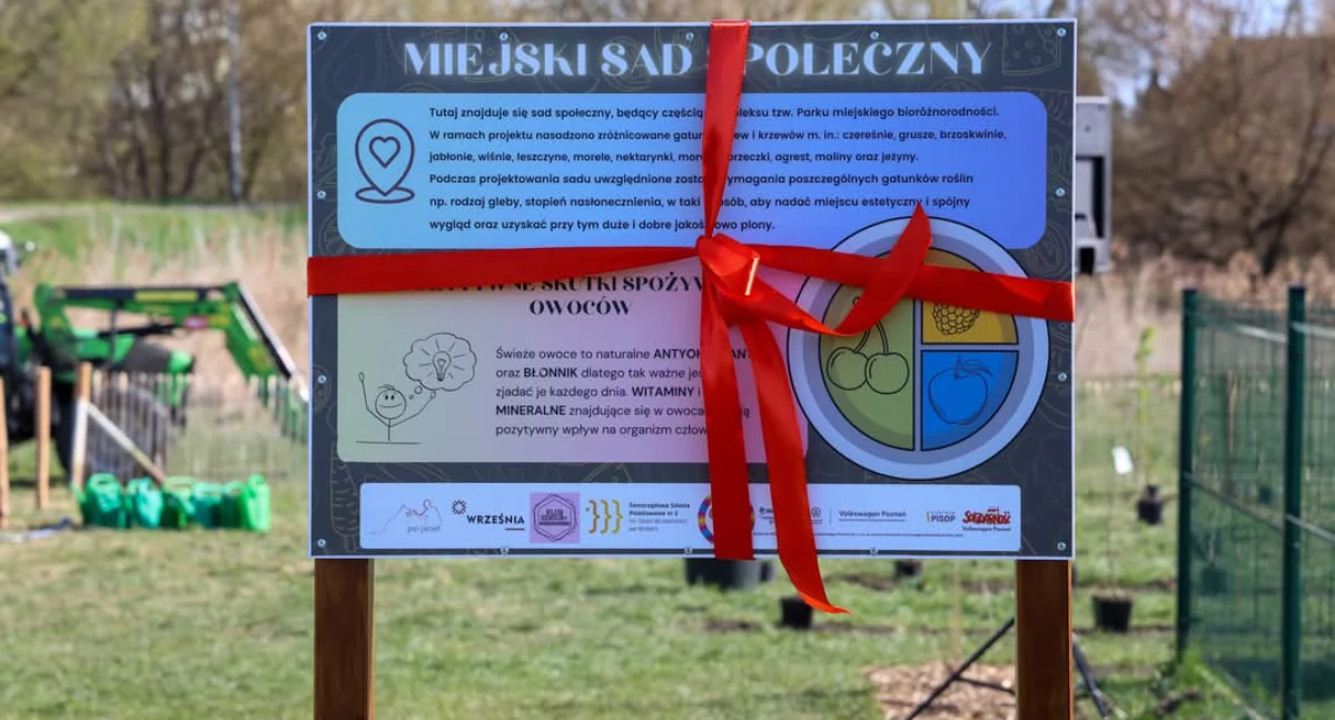 Fot. UMiG we Wrześni 