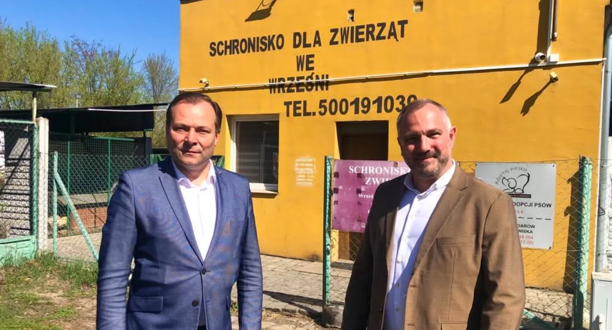 Zwierzęta , schronisko zwierząt Wrześni - zdjęcie, fotografia