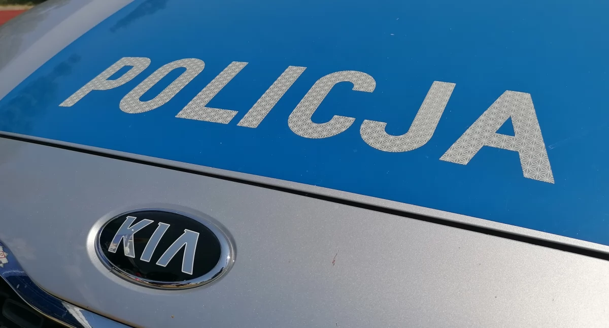 Fot. NowaWrzesnia.pl 