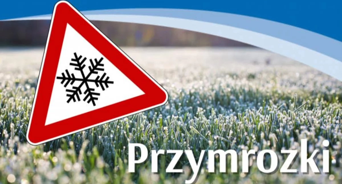 Fot. UMiG we Wrześni 