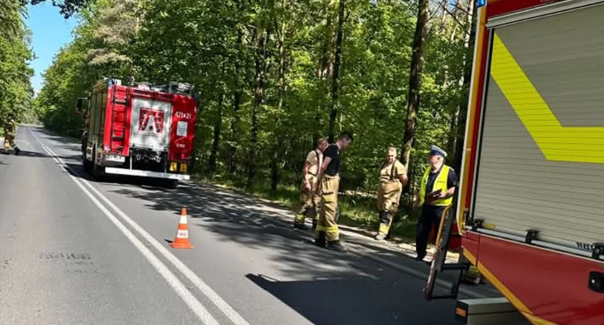 Fot. KP Policji w Gnieźnie 