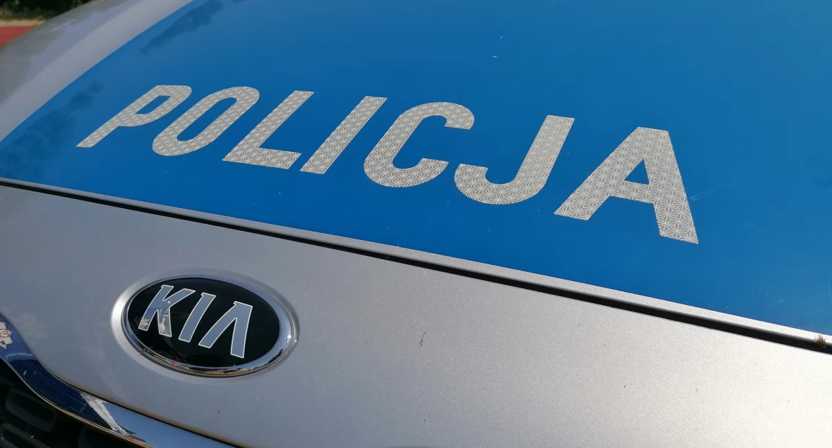 Fot. NowaWrzesnia.pl 