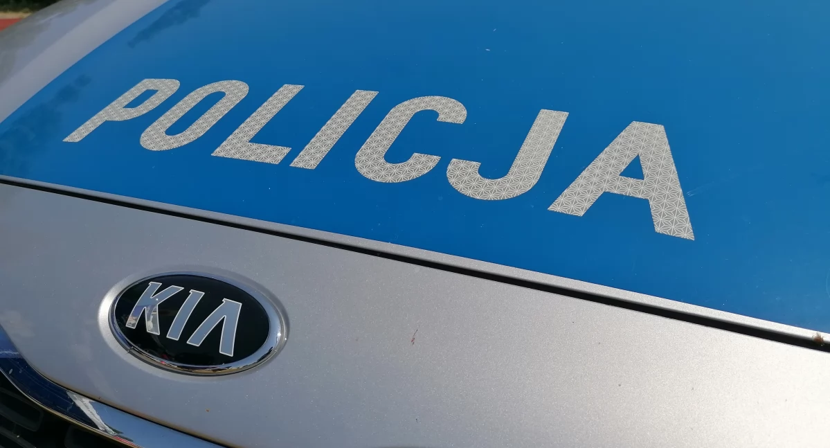 Fot. NowaWrzesnia.pl 