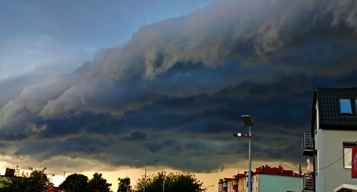 Fot. NowaWrzesnia.pl 