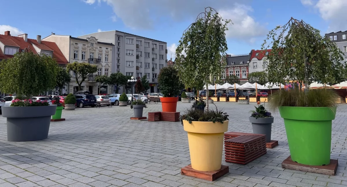 Fot. Straż Miejska we Wrześni 