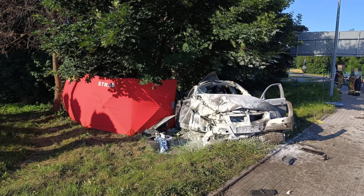 Fot. KP Policji w Gnieźnie 