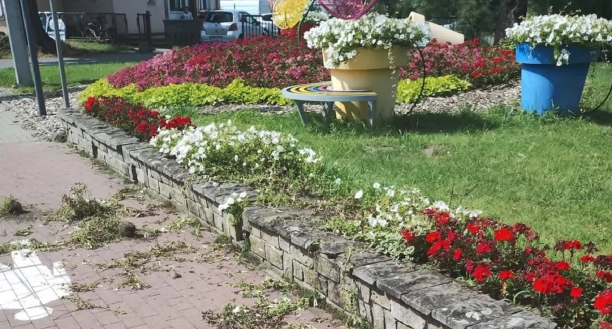 Fot. Straż Miejska we Wrześni 