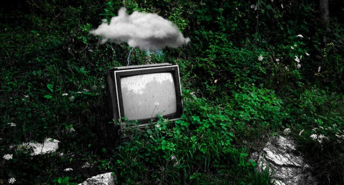 fot. elements.envato.com