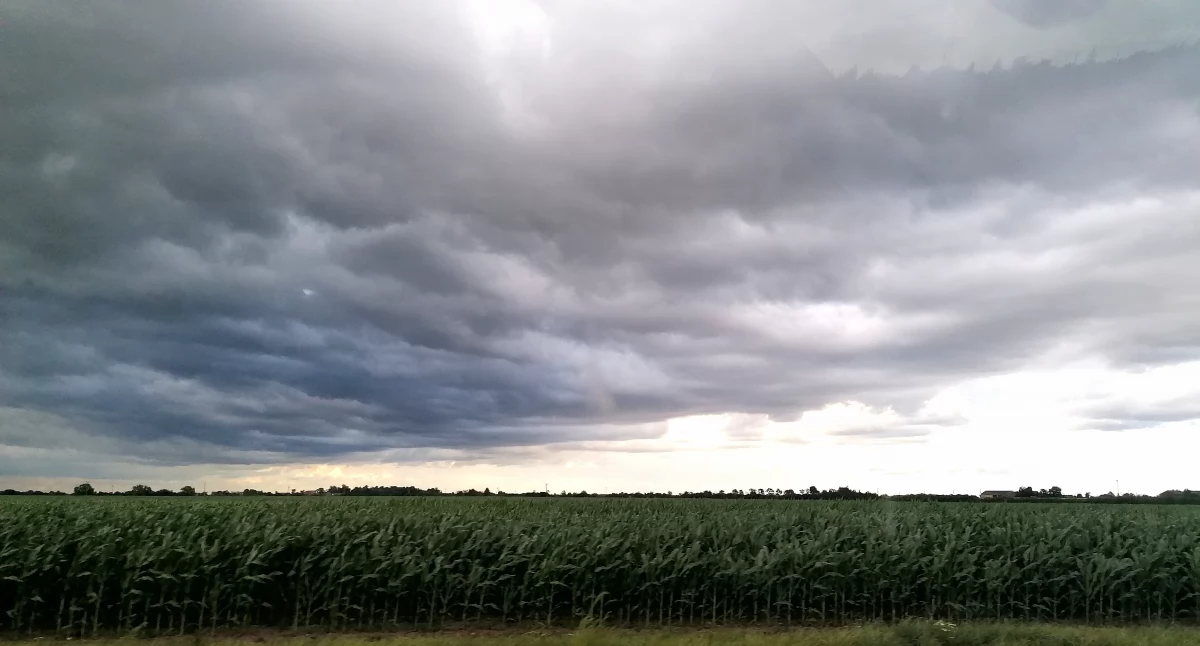 fot. NowaWrzesnia.pl