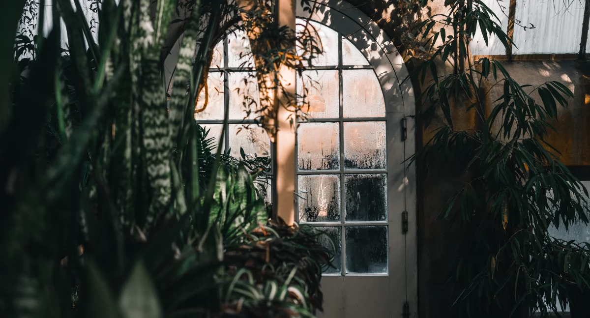 fot. envato elements