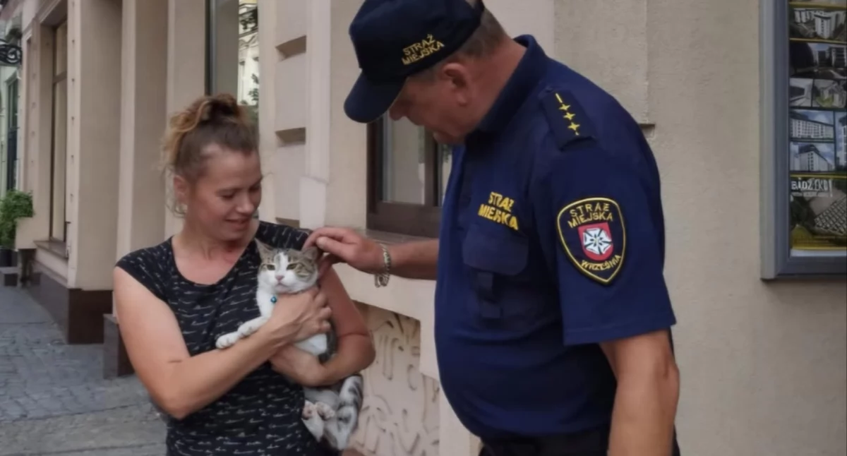Straż Miejska , Niecodzienna interwencja Straży Miejskiej Kotek uratowany - zdjęcie, fotografia