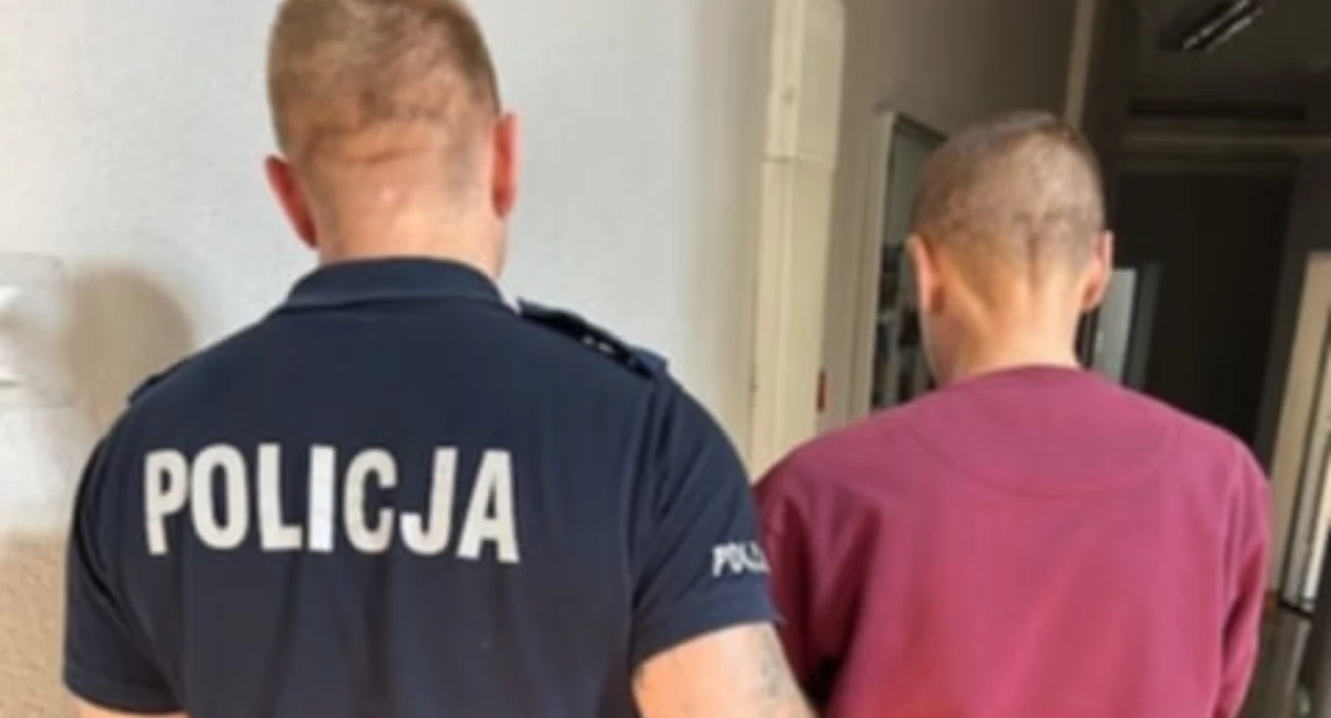 Kronika policyjna, Kradł rowery Wrześni Obywatel Ukrainy opuści Polskę - zdjęcie, fotografia