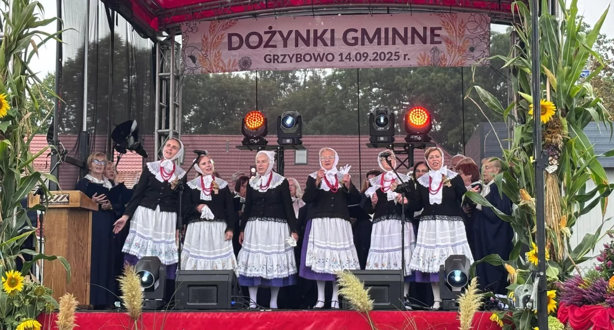 Rozrywka, Dożynki Gminne Grzybowie - zdjęcie, fotografia