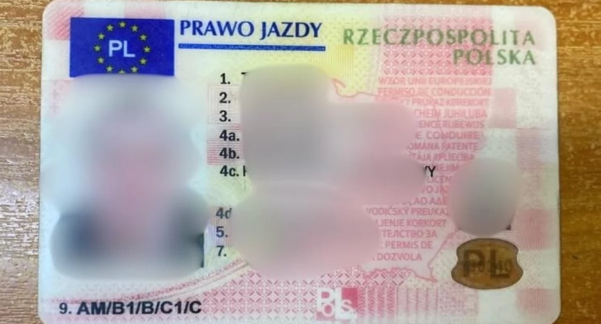 Kronika policyjna, latek pędził zabudowanym Prawo jazdy kupił internecie - zdjęcie, fotografia