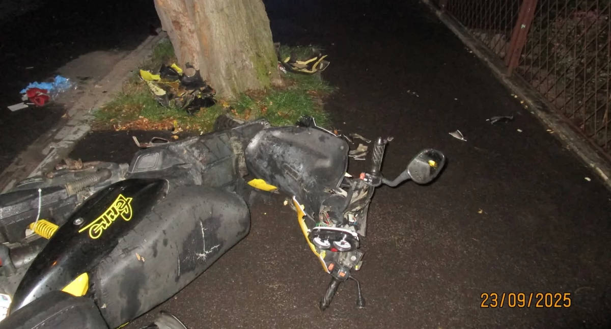 Kronika policyjna, Uderzył drzewo motorowerem - zdjęcie, fotografia