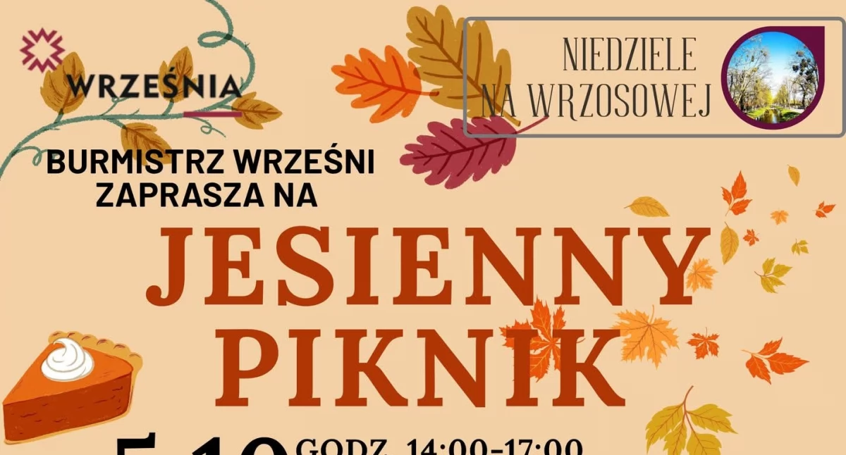 Zapowiedzi , Ostatni piknik cyklu Niedziela Wrzosowej - zdjęcie, fotografia