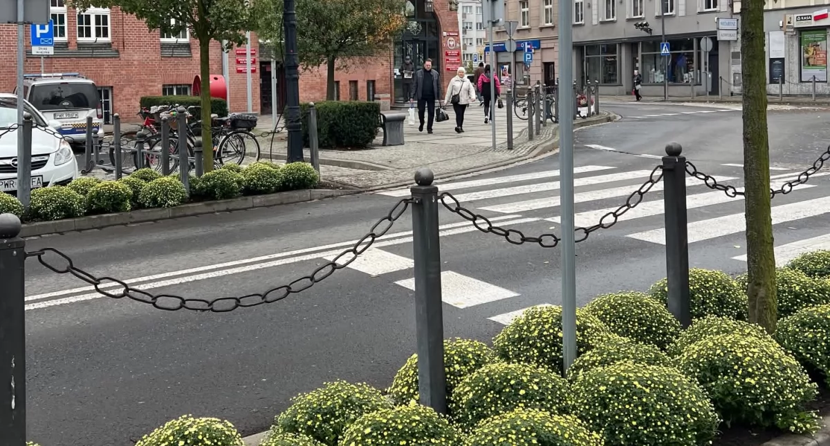 Straż Miejska , Jesień zawitała miasta - zdjęcie, fotografia
