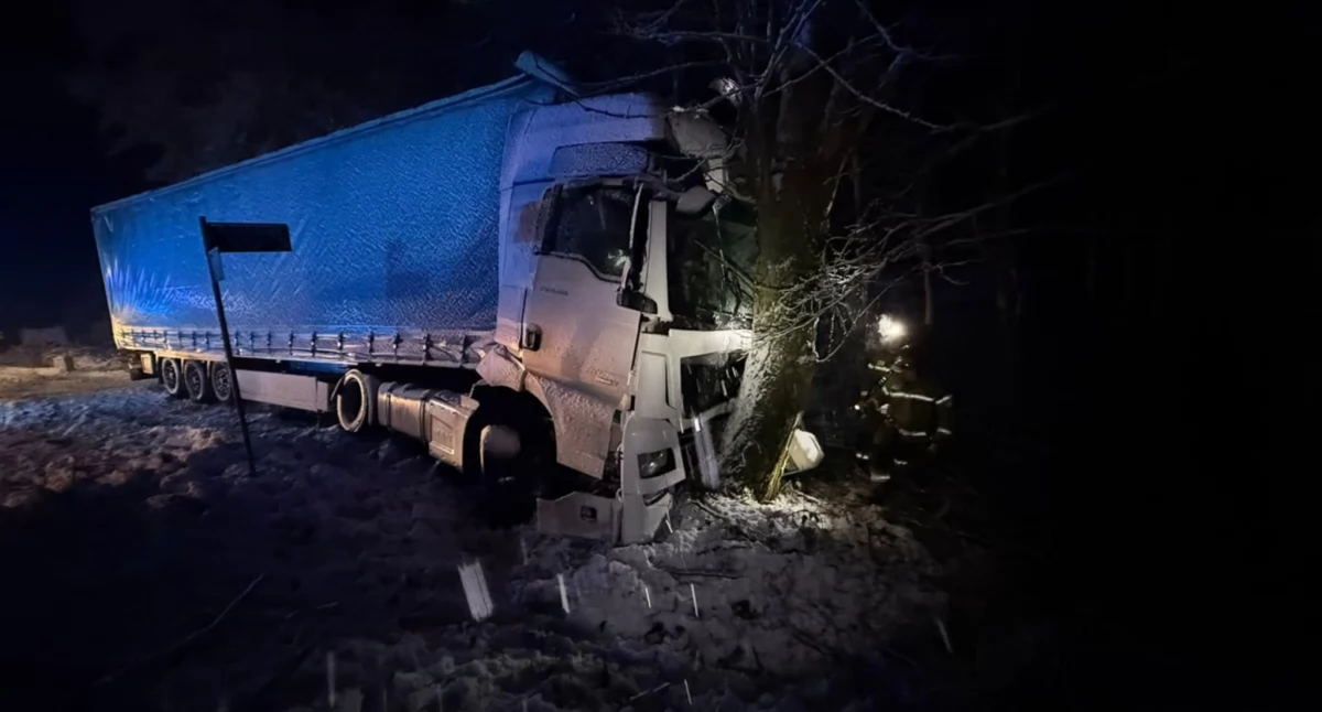 Pożary, straż pożarna, Wypadki powalone drzewa pożar Pracowite godziny strażaków - zdjęcie, fotografia