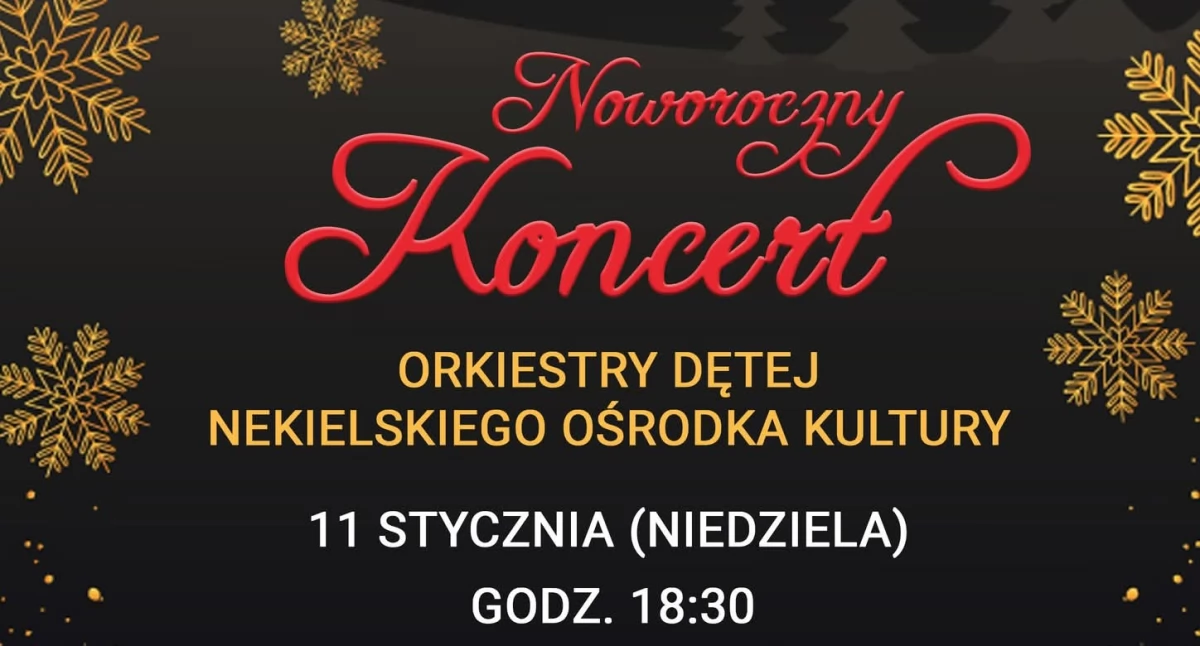 Koncerty , Noworoczny koncert Nekli - zdjęcie, fotografia